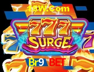 Sistemas de Segurança Br9 Bet