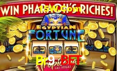 Recursos de Bônus Br9 Bet